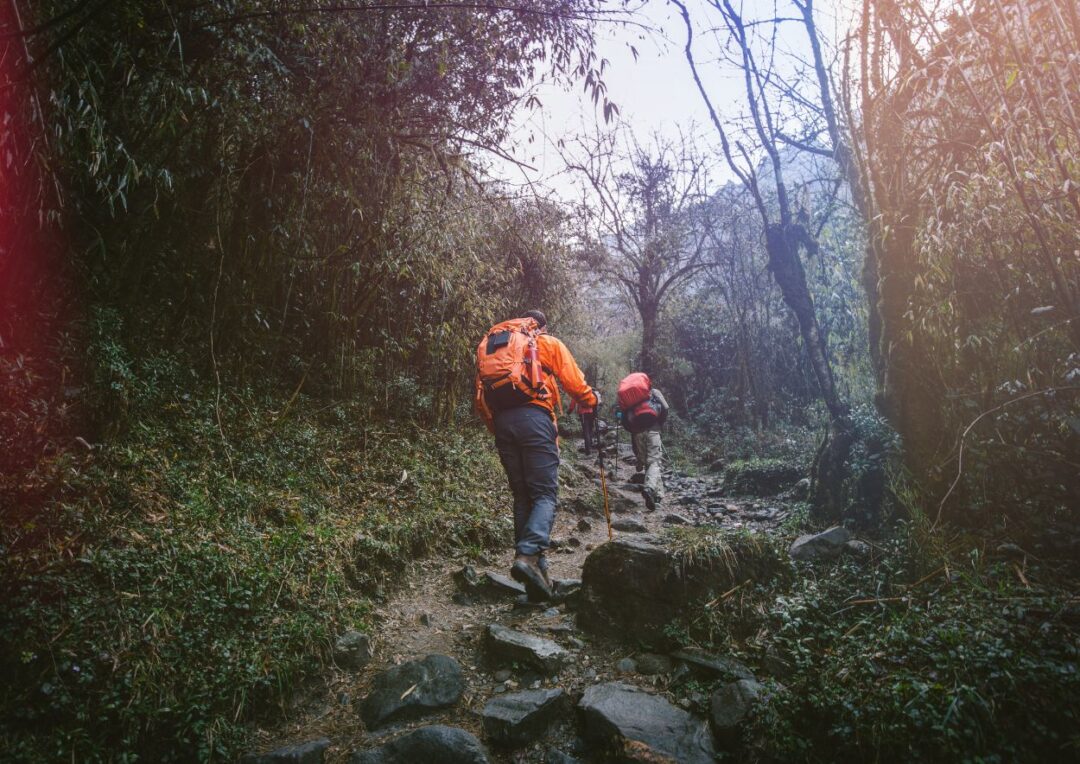 trekking bologna autunno